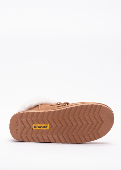 D.Franklin aulinukai