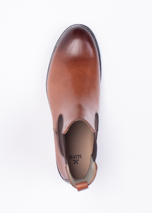 Lloyd aulinukai Dara 315