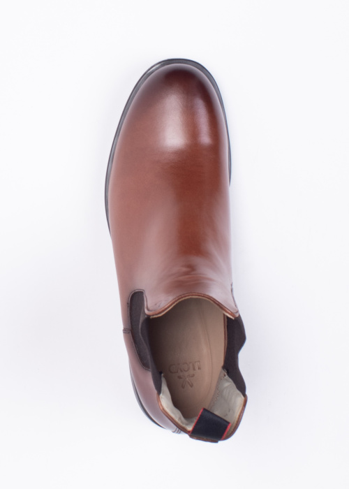 Lloyd aulinukai Mila 315