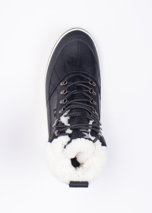 Cariuma aulinukai Ibira