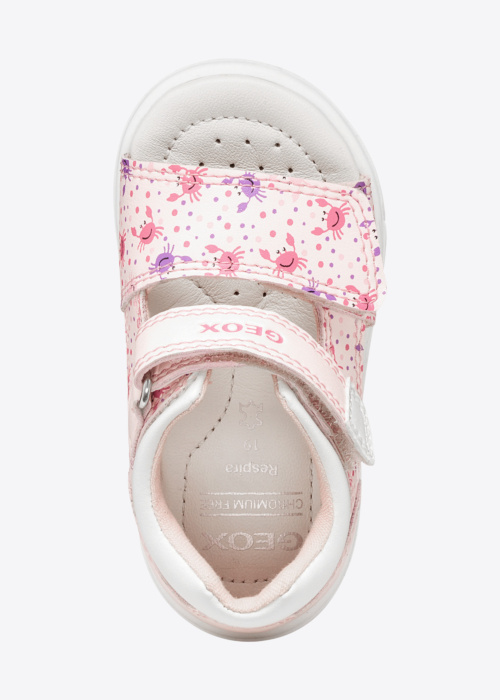 Geox sandalai Zapito