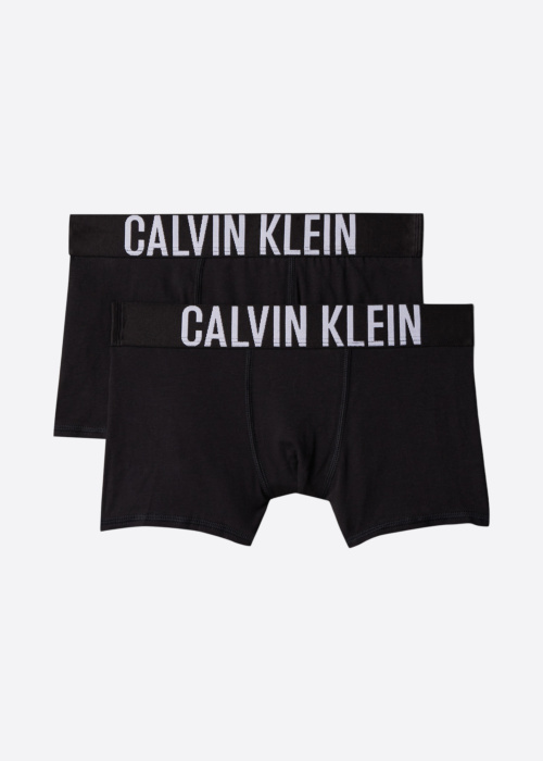 Calvin Klein kelnaitės 2 Pack Trunk