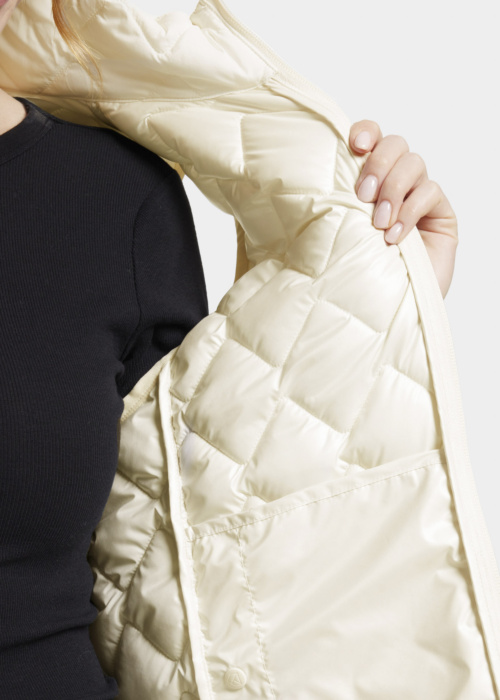 Didriksons liemenė Evy