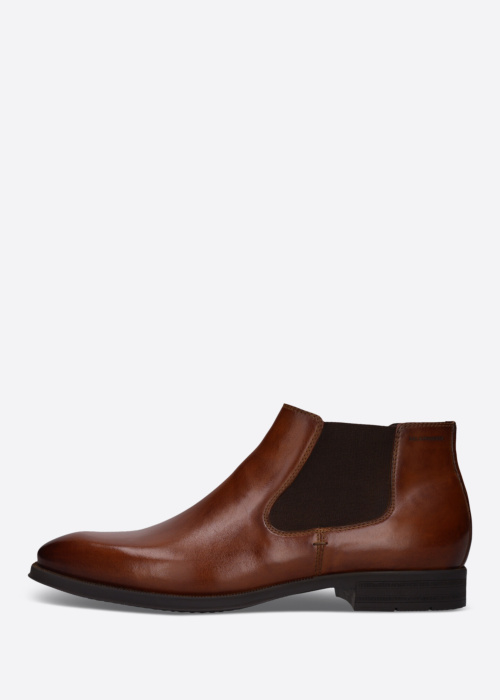 Salamander pavasario-rudens aulinukai