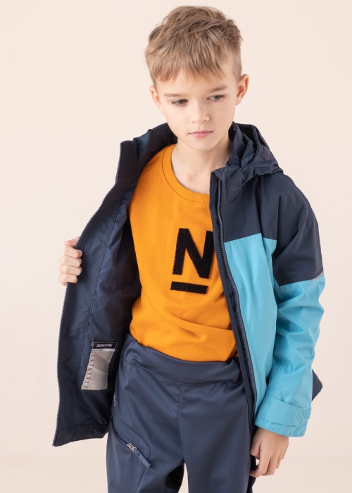 Didriksons pavasario-rudens striukė Ash