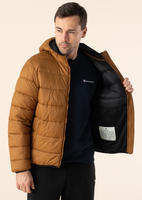 Champion pavasario-rudens striukė