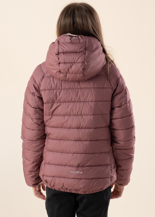 Icepeak pavasario-rudens striukė Kenyon Jr