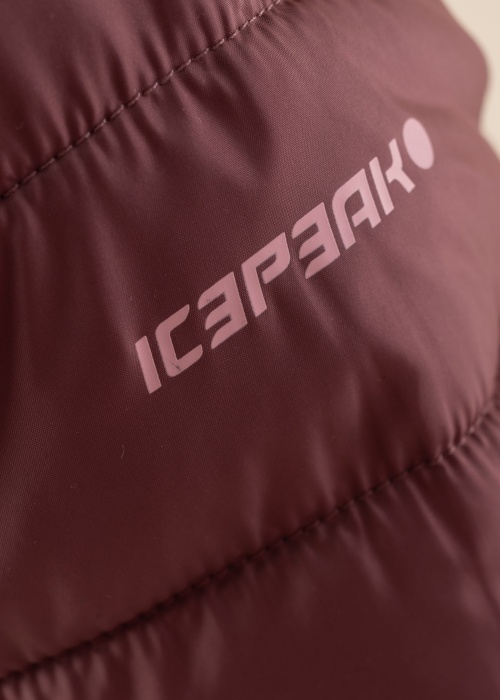 Icepeak pavasario-rudens striukė Kenyon Jr