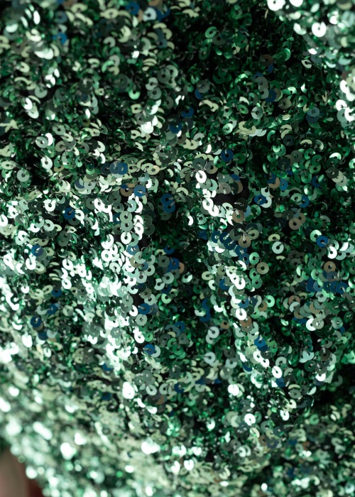 Selected formali suknelė Colyn