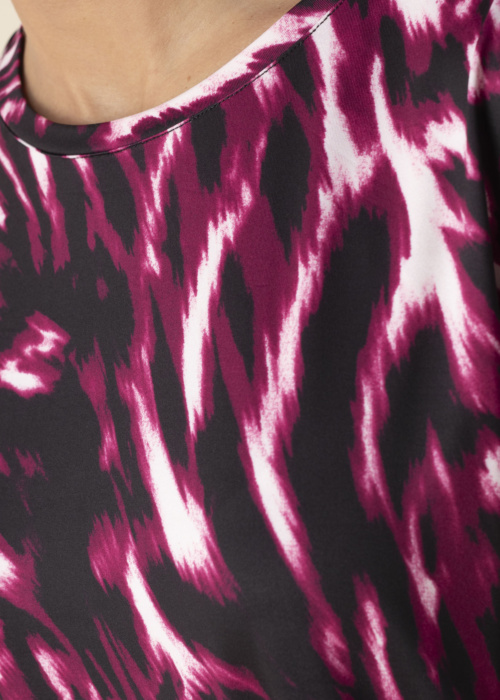 Fransa palaidinė Seen