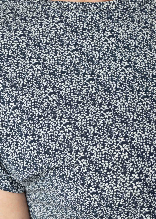 Fransa palaidinė Seen