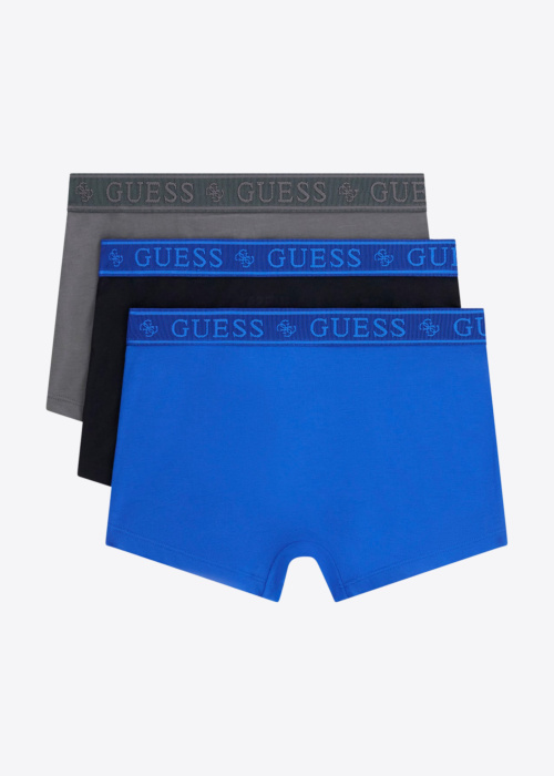 Guess kelnaitės Joe