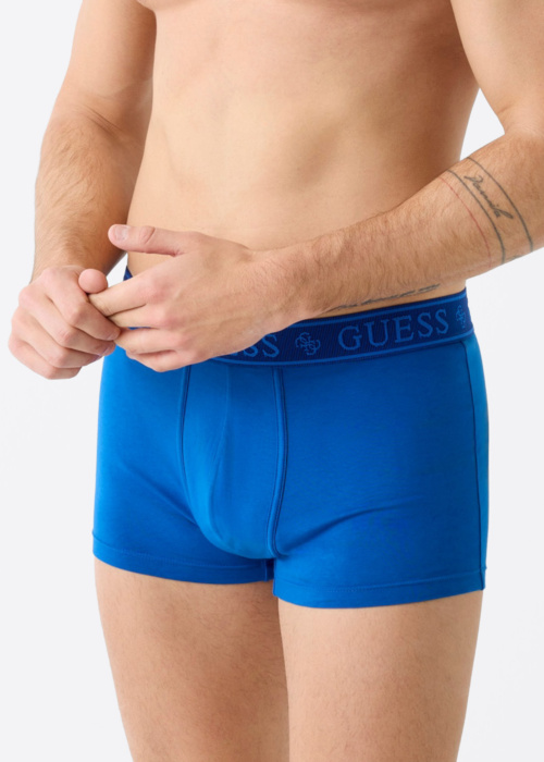 Guess kelnaitės Joe