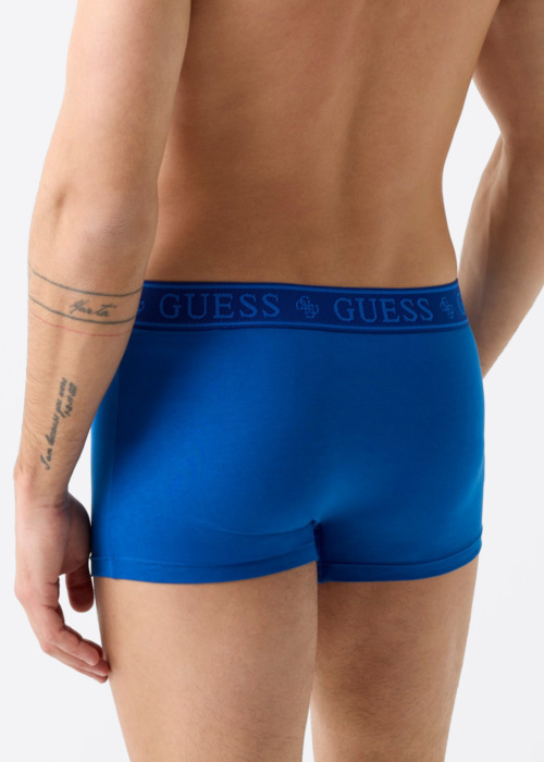 Guess kelnaitės Joe