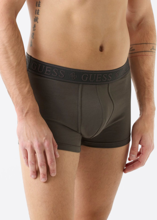 Guess kelnaitės Joe