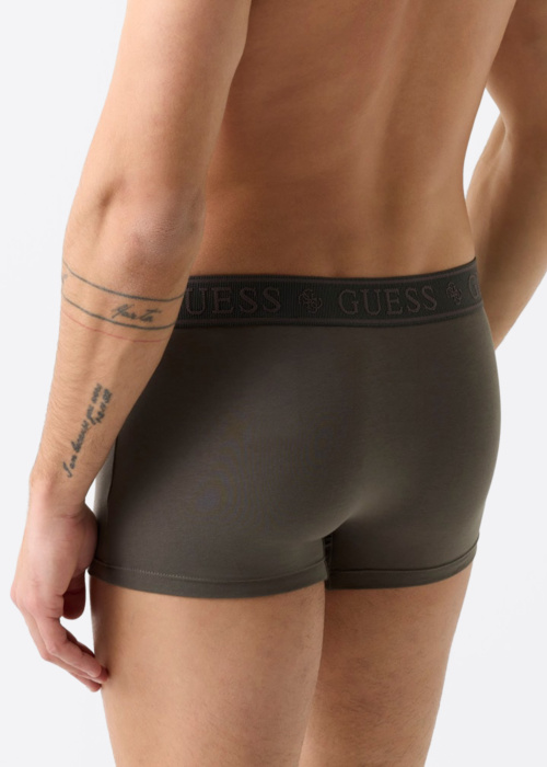 Guess kelnaitės Joe