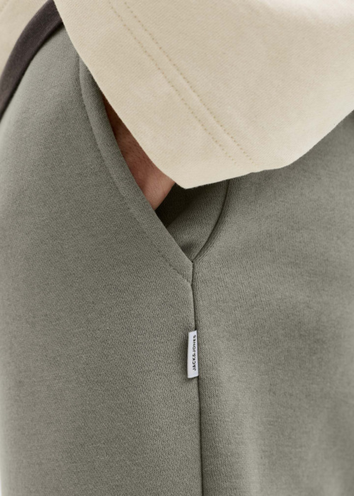 Jack & Jones sportinės kelnės Gordon Bradley