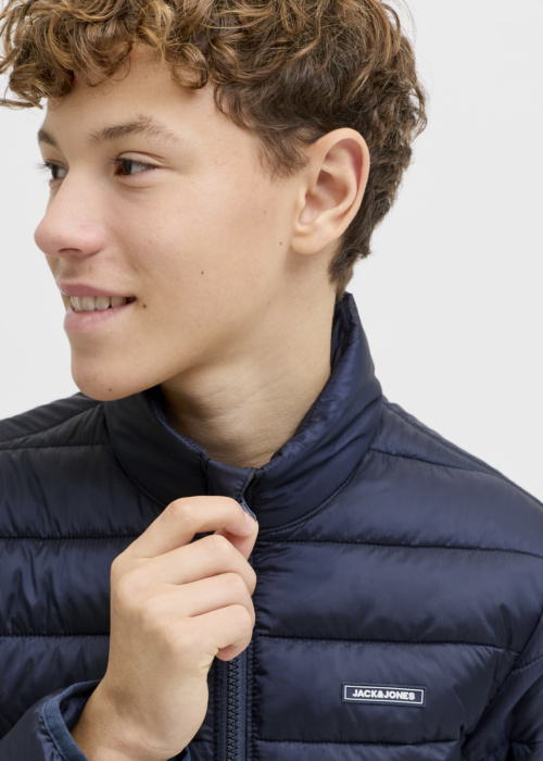 Jack & Jones pavasario-rudens striukė Louis