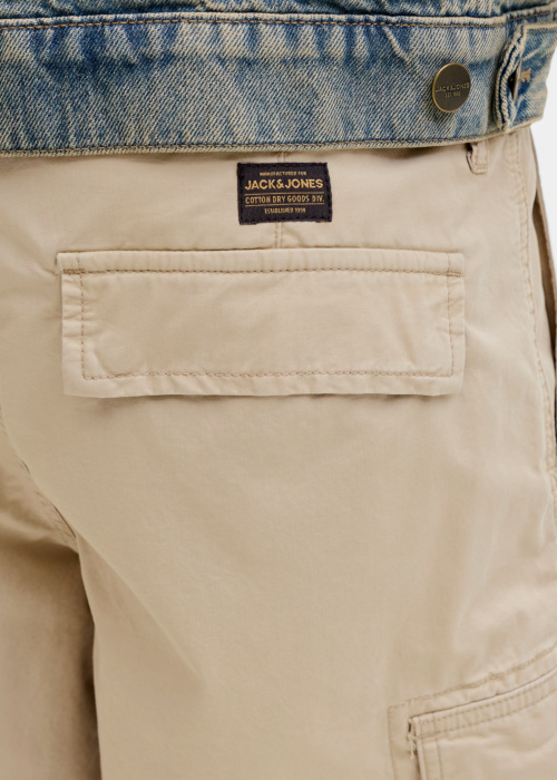 Jack & Jones kelnės Cole Frank