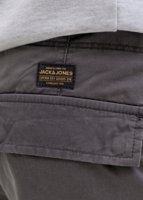 Jack & Jones kelnės Cole Frank