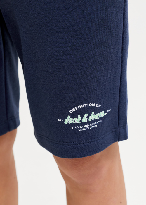 Jack & Jones kelnės Gordon