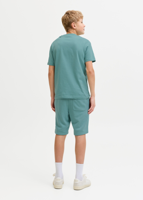 Jack & Jones kelnės Gordon