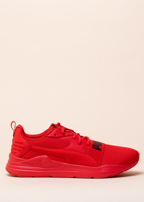 Puma laisvalaikio bateliai Wired Run Pure