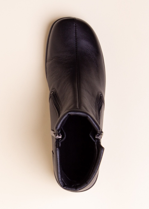 Alpina aulinukai Vita