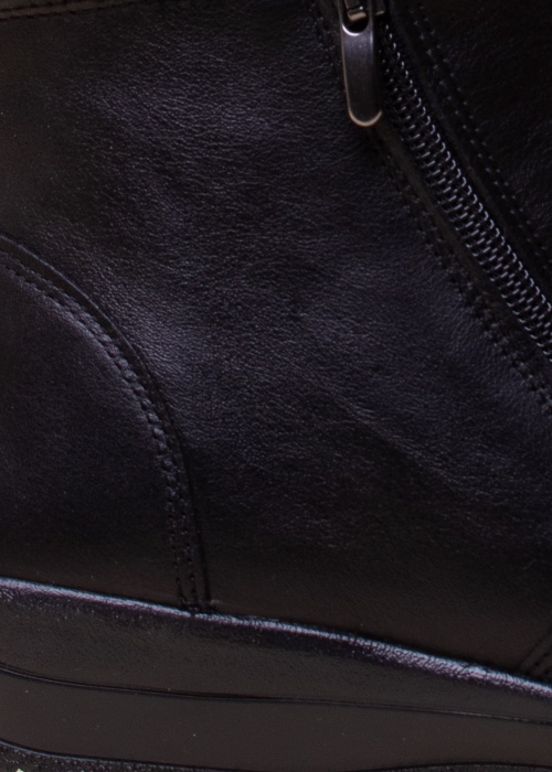 Alpina aulinukai Vita