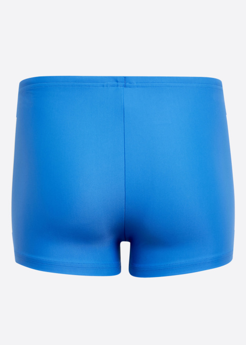 adidas maudymosi kelnaitės