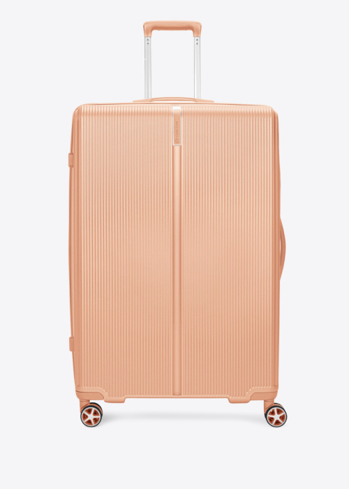 Carlton lagaminas Boston