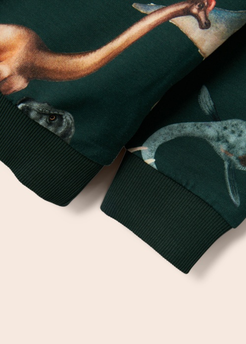 Name It Mini džemperis Kasmir