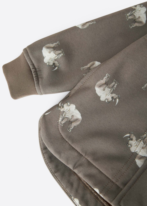 Name It Mini Outerwear pavasario-rudens sportinė striukė SCH Alfa08