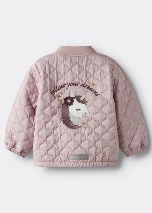 Name It Mini Outerwear pavasario-rudens striukė Marlon