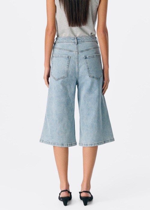 Object bridžai Isra