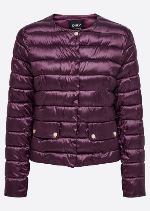 Only pavasario-rudens striukė Vega