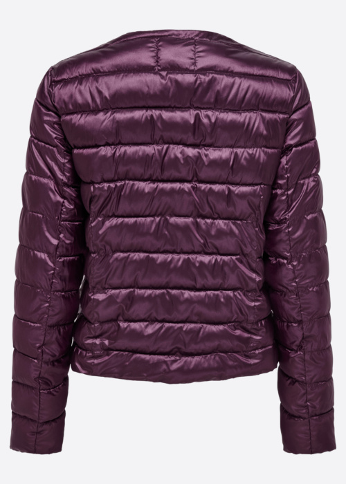 Only pavasario-rudens striukė Vega