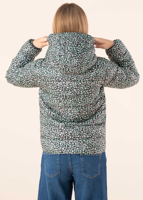 Only pavasario-rudens striukė Newtalia