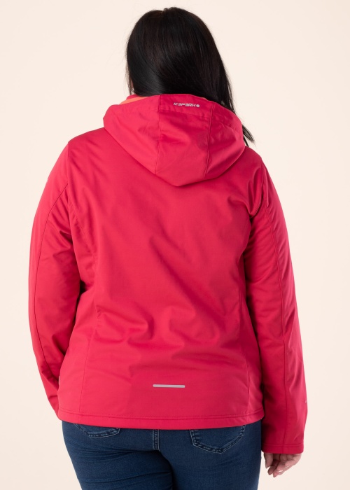 Icepeak pavasario-rudens striukė Boise SCH