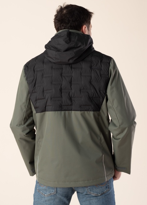 Huppa pavasario-rudens striukė Tarva