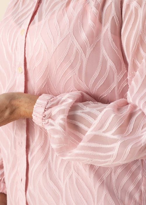 Fransa palaidinė Hazy