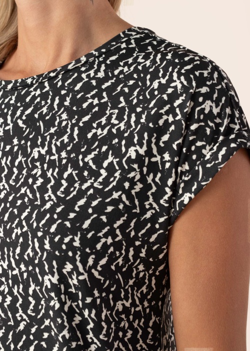 Fransa palaidinė Seen