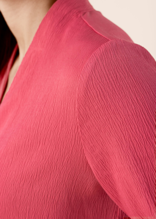 Fransa palaidinė Viline