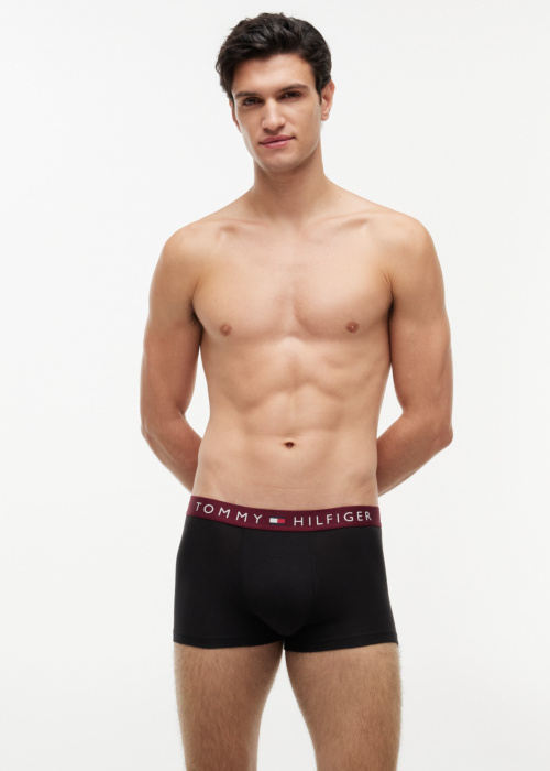 Tommy Hilfiger kelnaitės