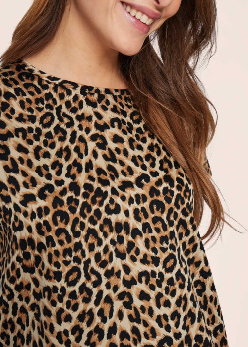 Vila palaidinė Ellete