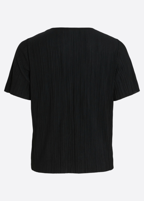 Vila palaidinė Plisa