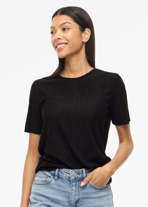 Vila palaidinė Plisa