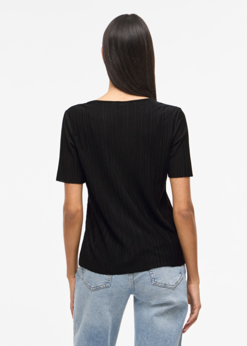 Vila palaidinė Plisa