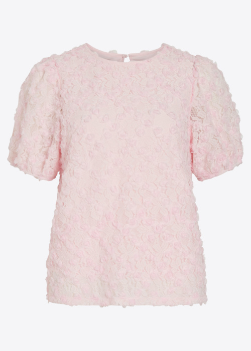 Vila palaidinė Sasha