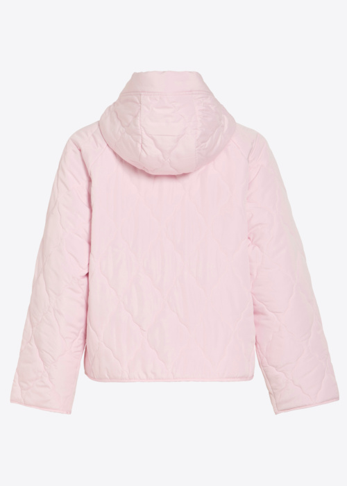 Vila pavasario-rudens striukė Nova